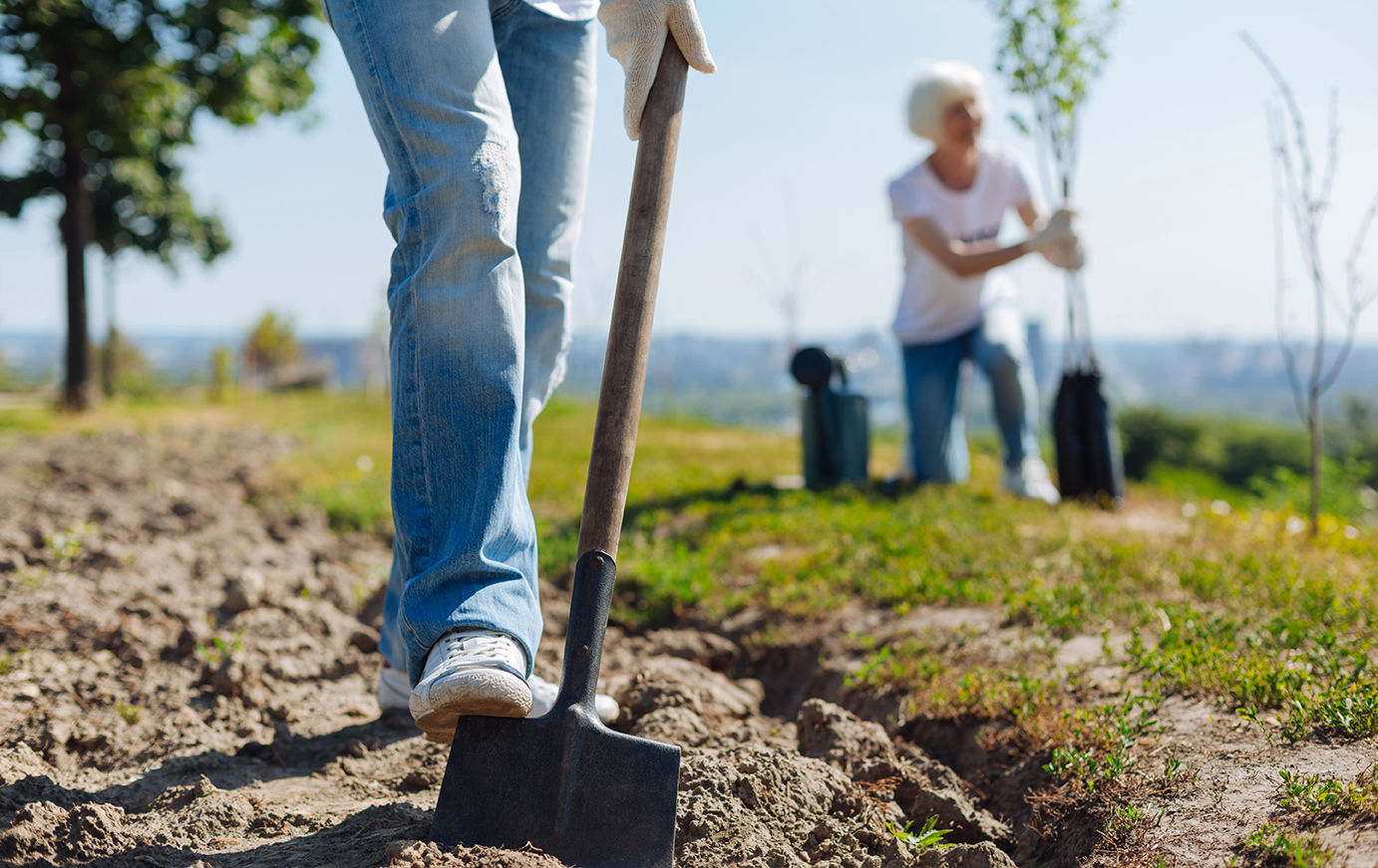 Planting Trees